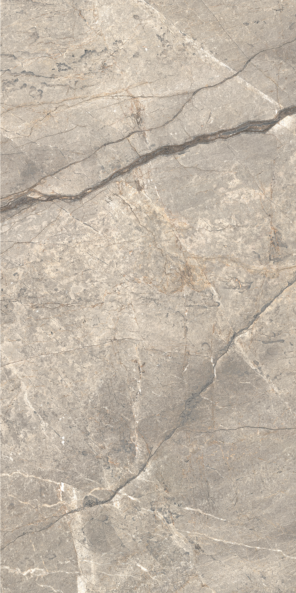 Anima Futura – Amazing Silver, Polished