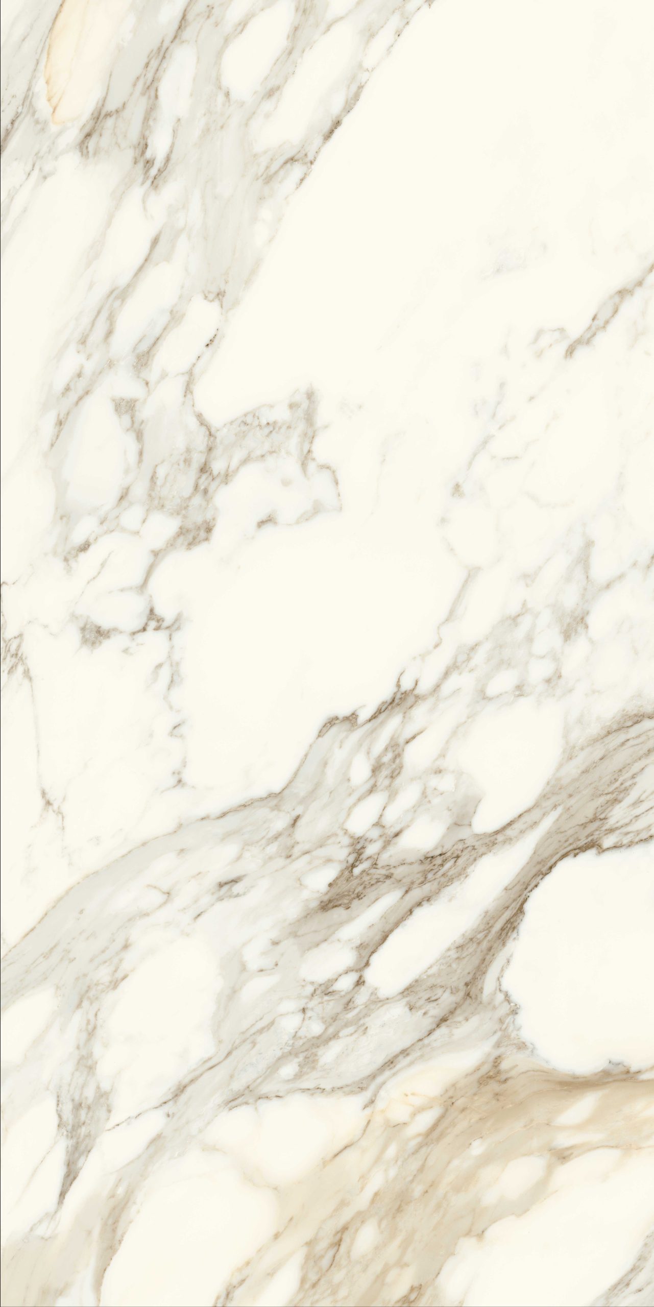 Anima Futura – Apuan Gold, Polished
