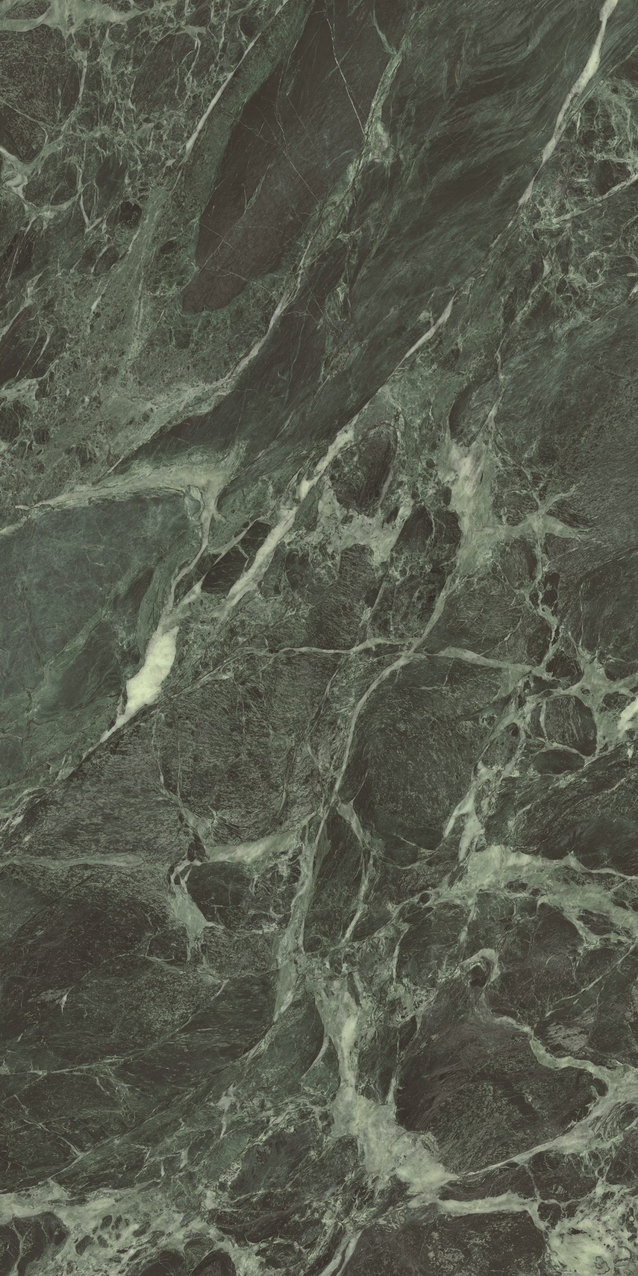 Anima Futura – Forest, Polished