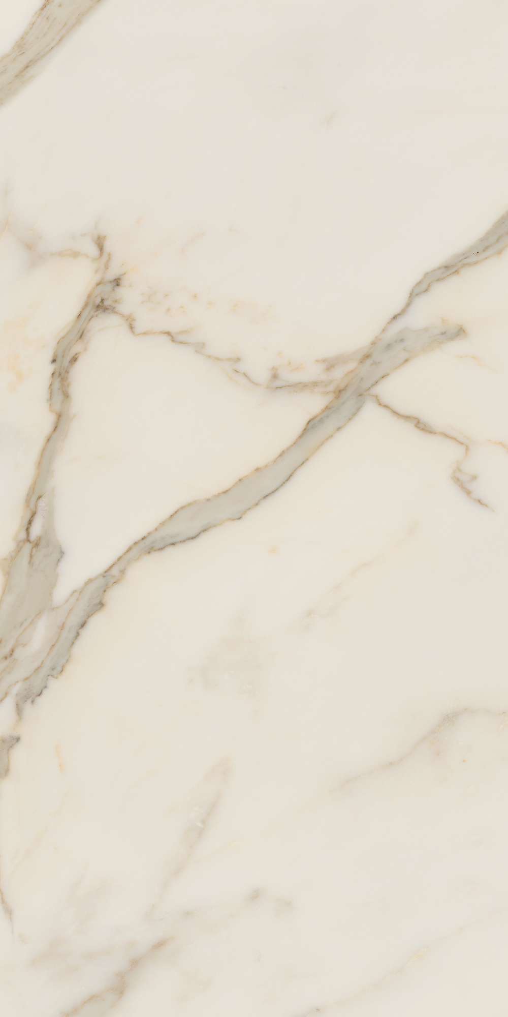 Anima Futura – Golden White, Polished