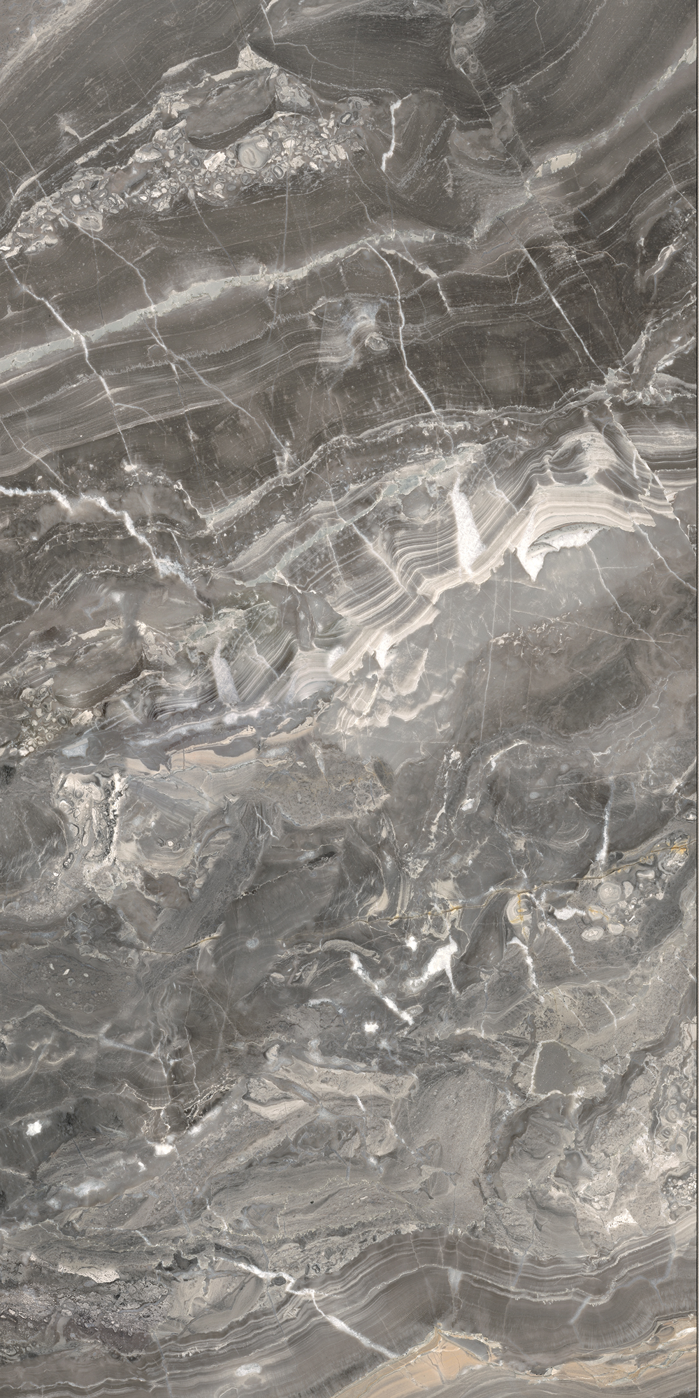 Anima Futura – Keen Grey, Polished
