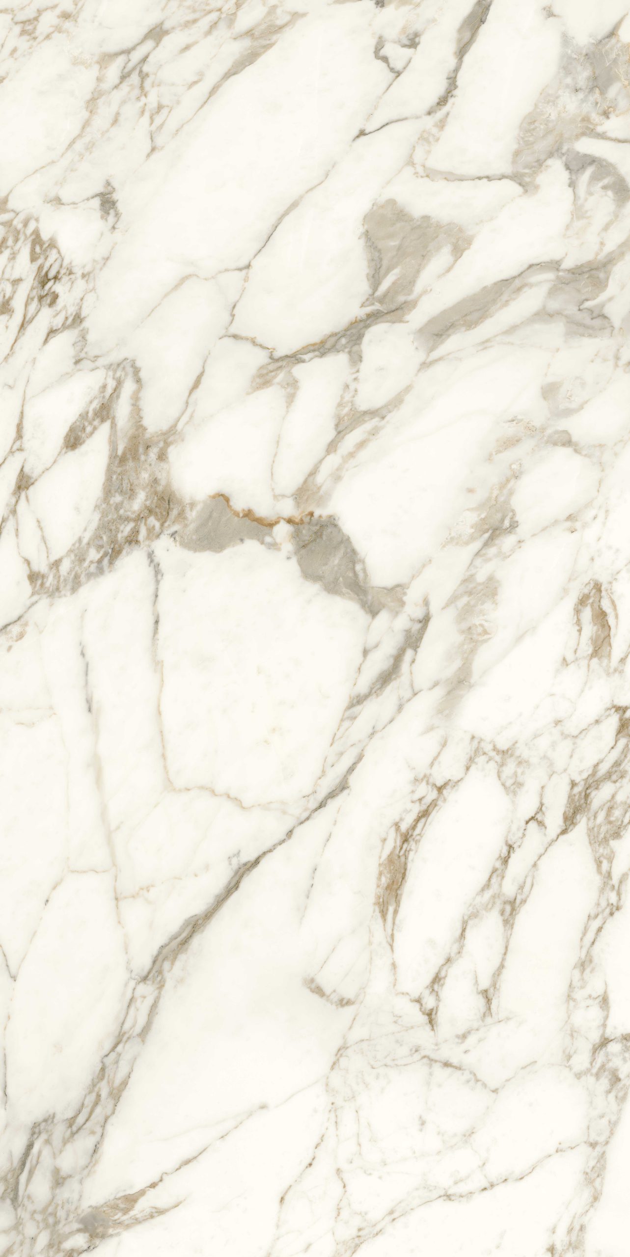 Anima Futura – Luxury Arabesque, Polished