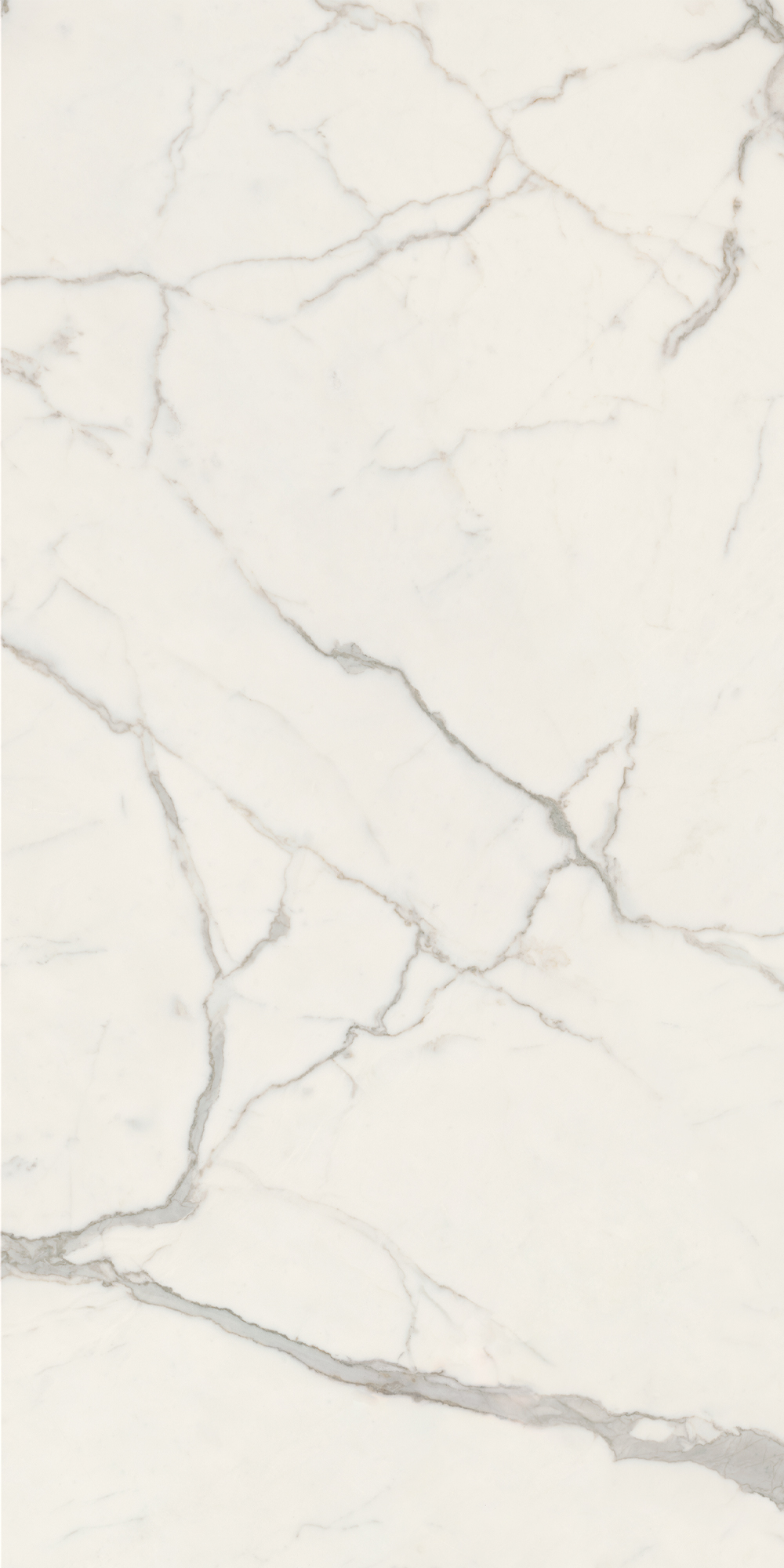 Anima Futura – Majestic White, Polished