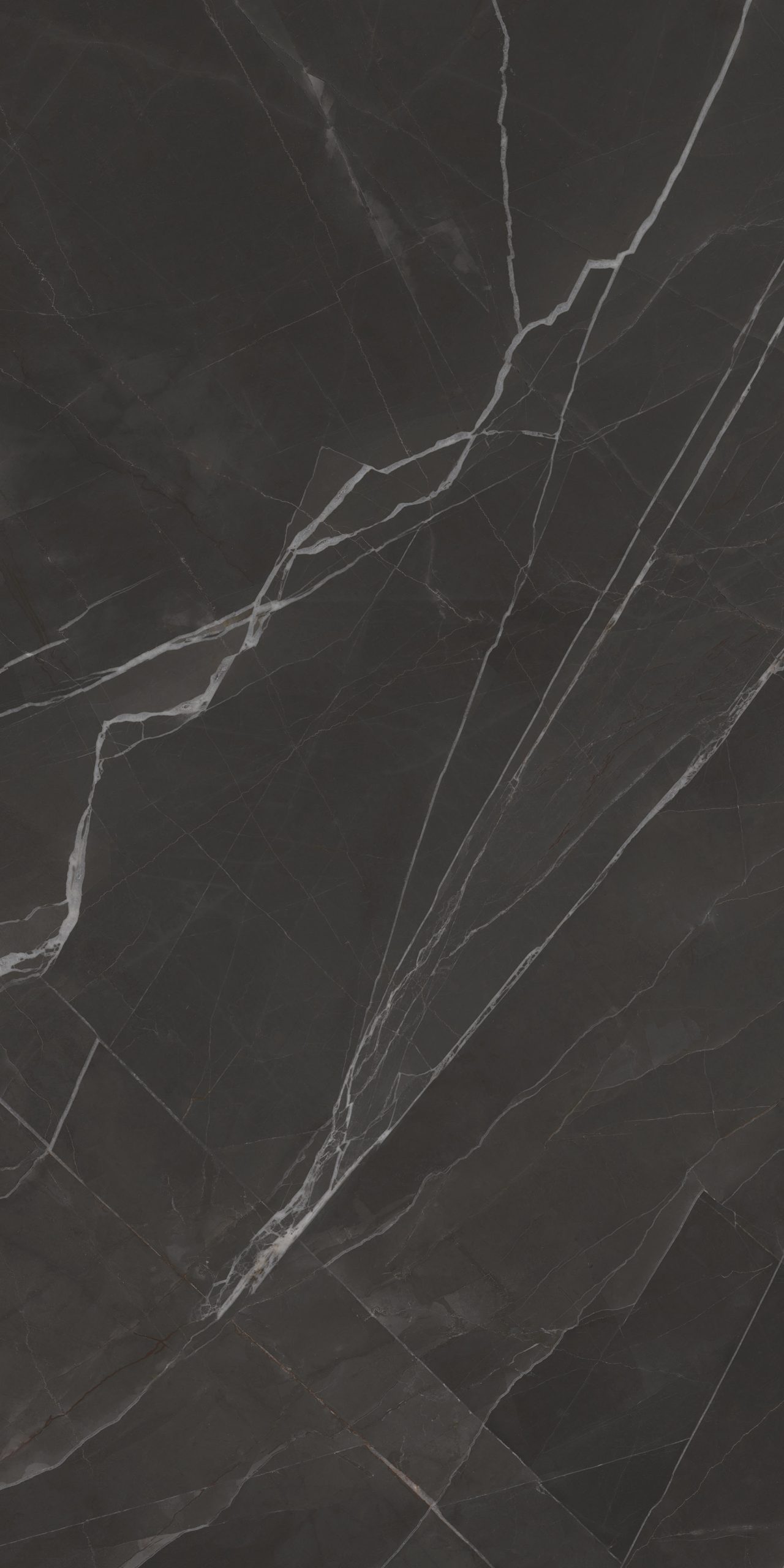 Anima Futura – Nightfall, Polished