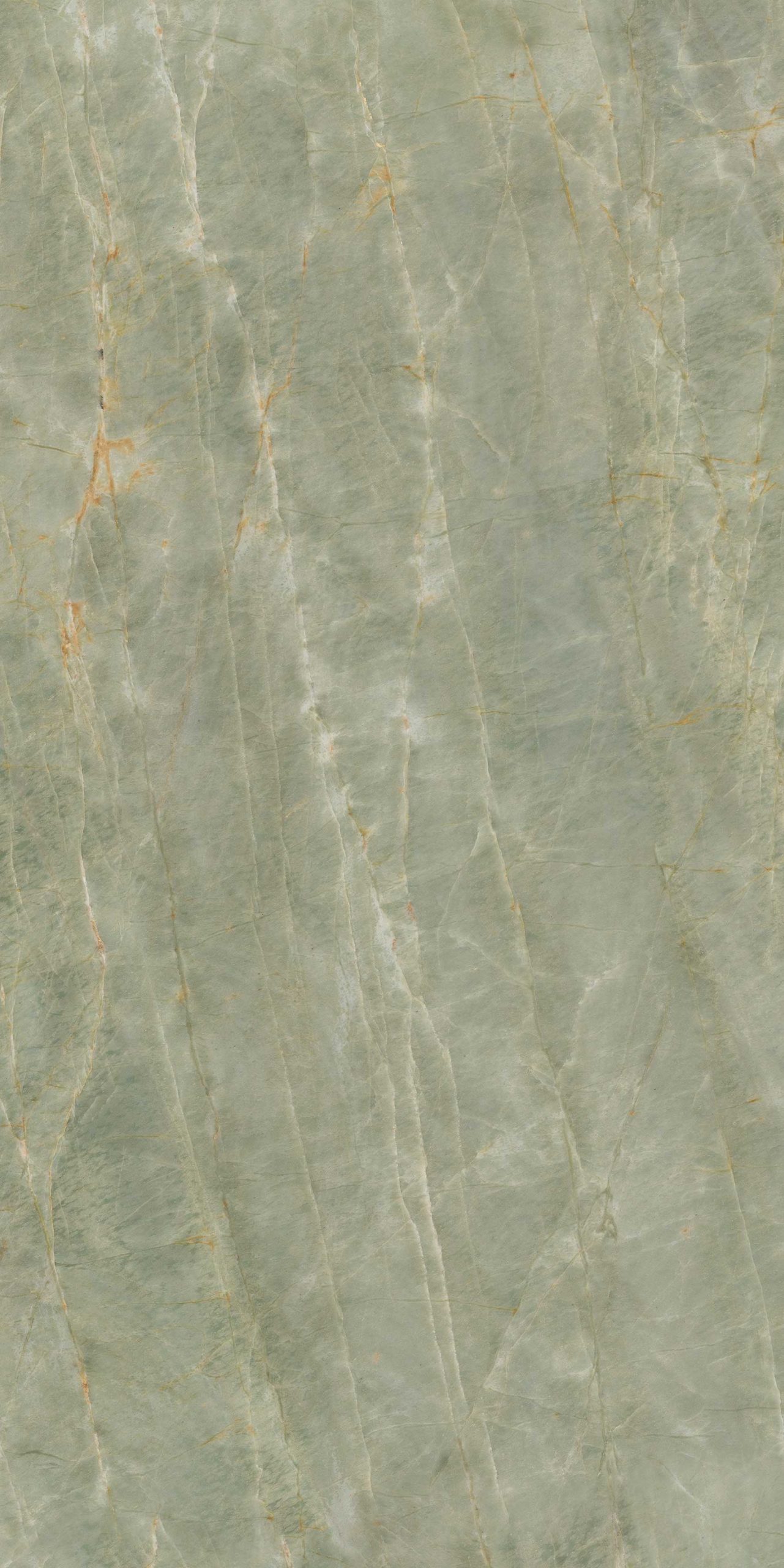 Anima Futura – Sage, Polished
