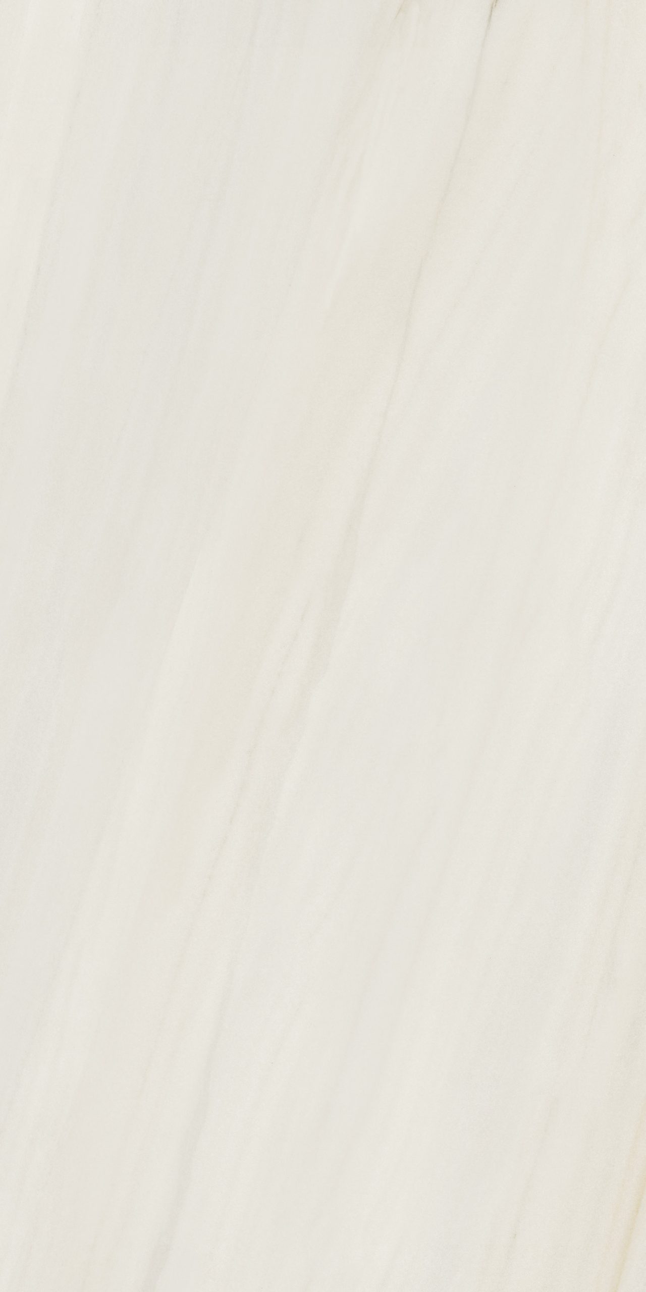 Anima Futura – Snow, Polished