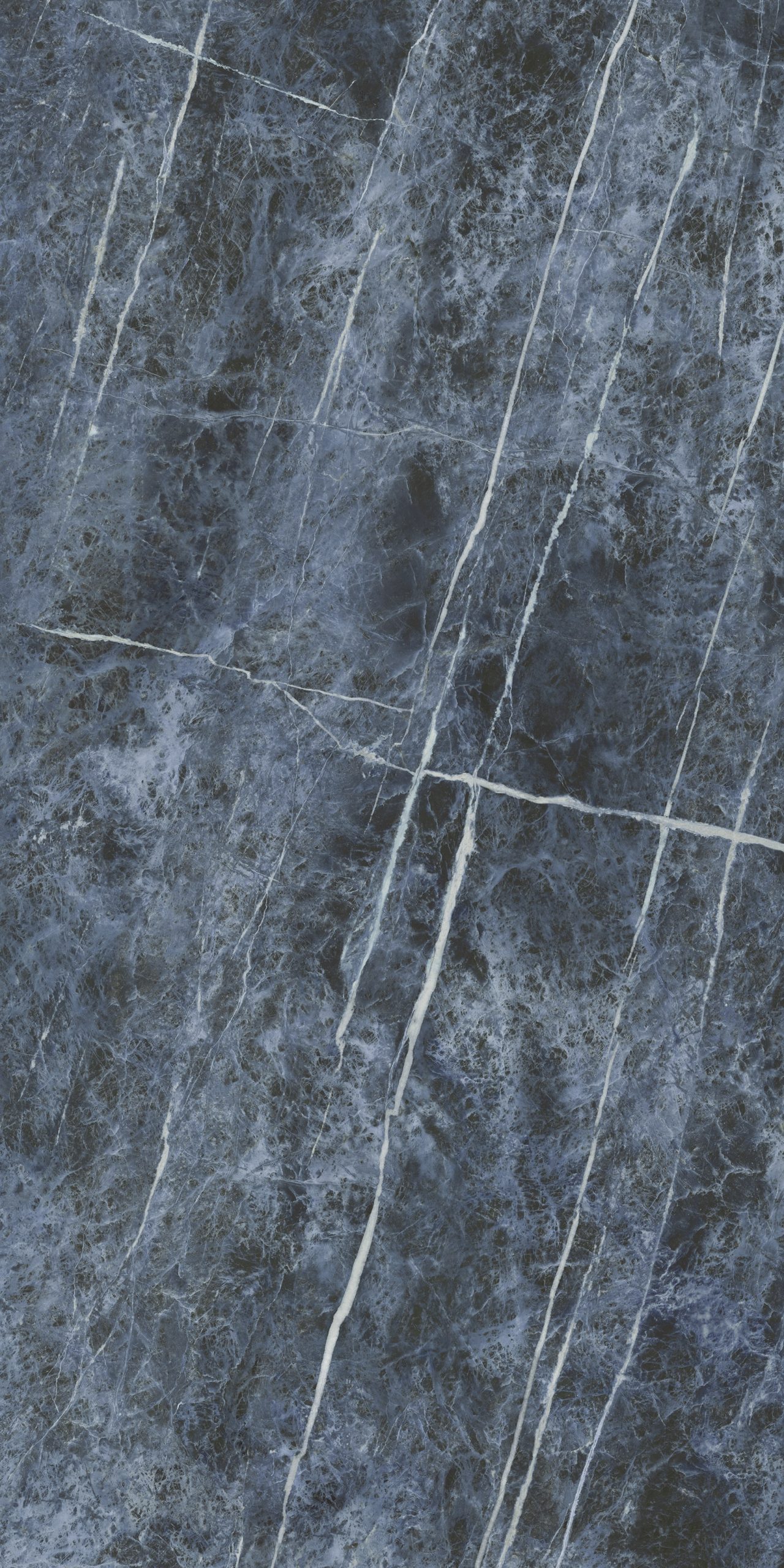 Anima Futura – Starlit, Polished