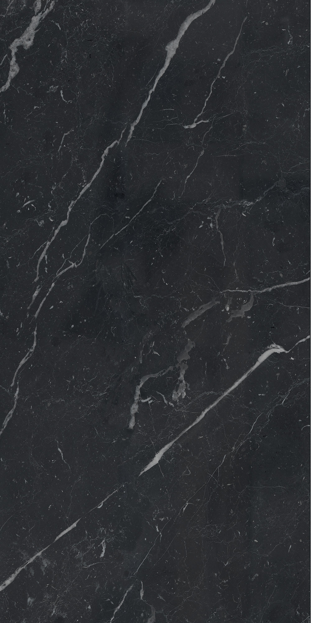 Anima Futura – Unique Black, Polished