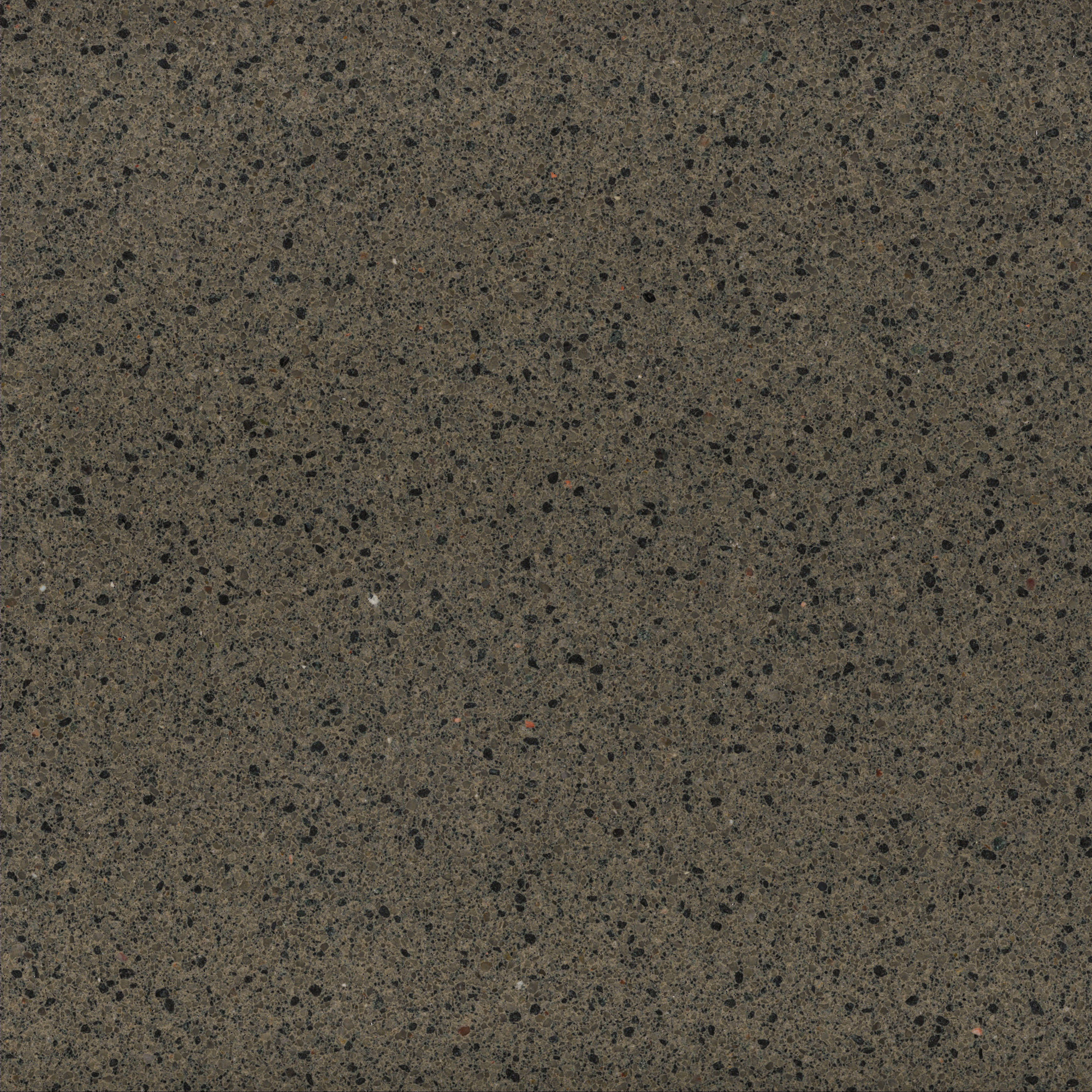 Trend Etherium – 1665 Taupe, Polished