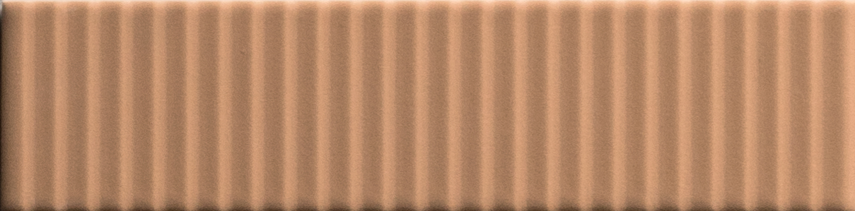 Biscuit – Strip Terra, Matte