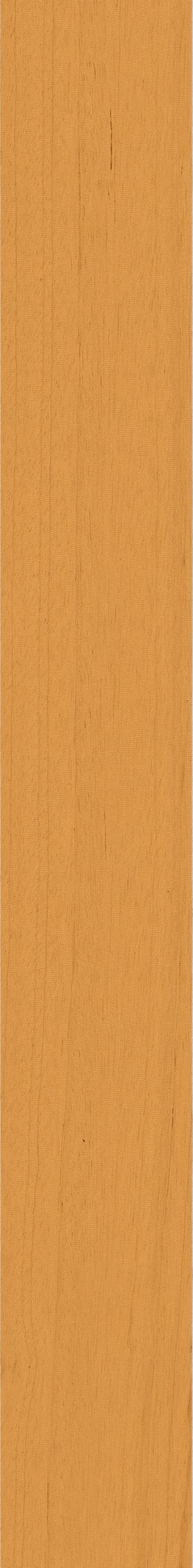 Technicolor – TC08 Orange, Natural