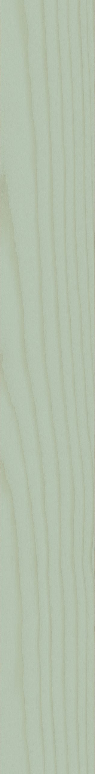 Technicolor – TC11 Sage, Natural