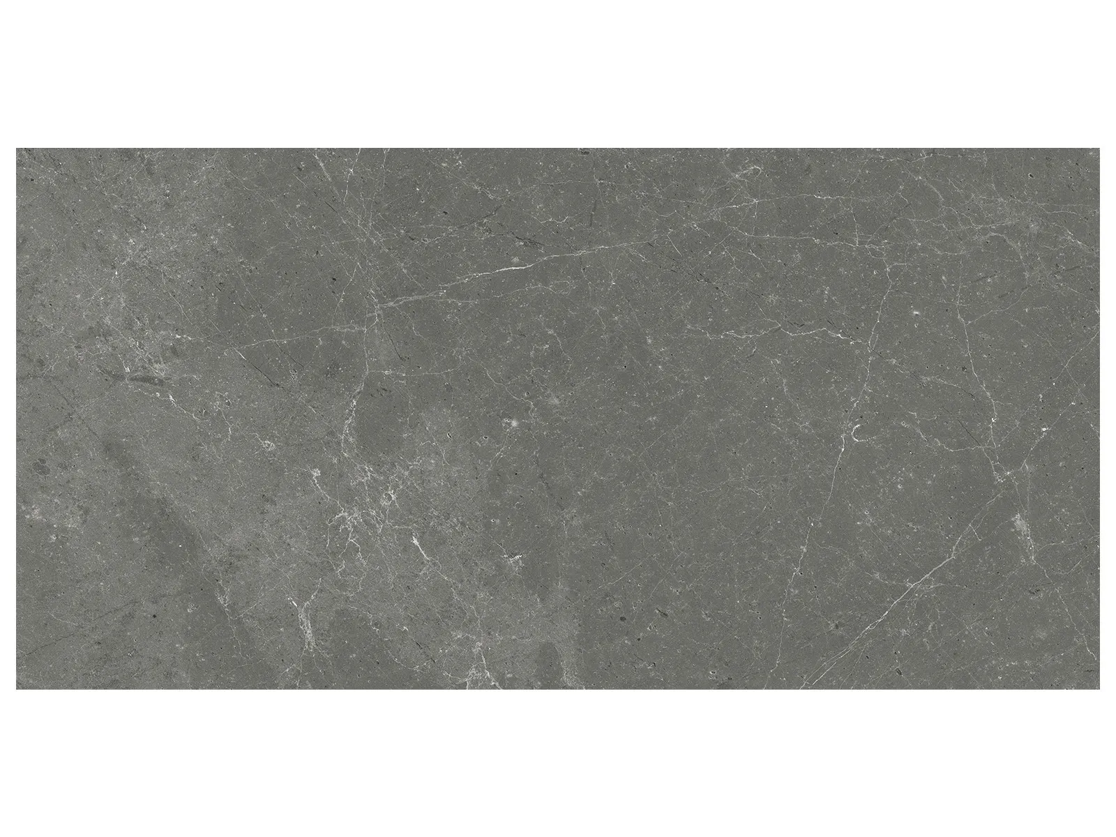 Stark Carbon – 12×24