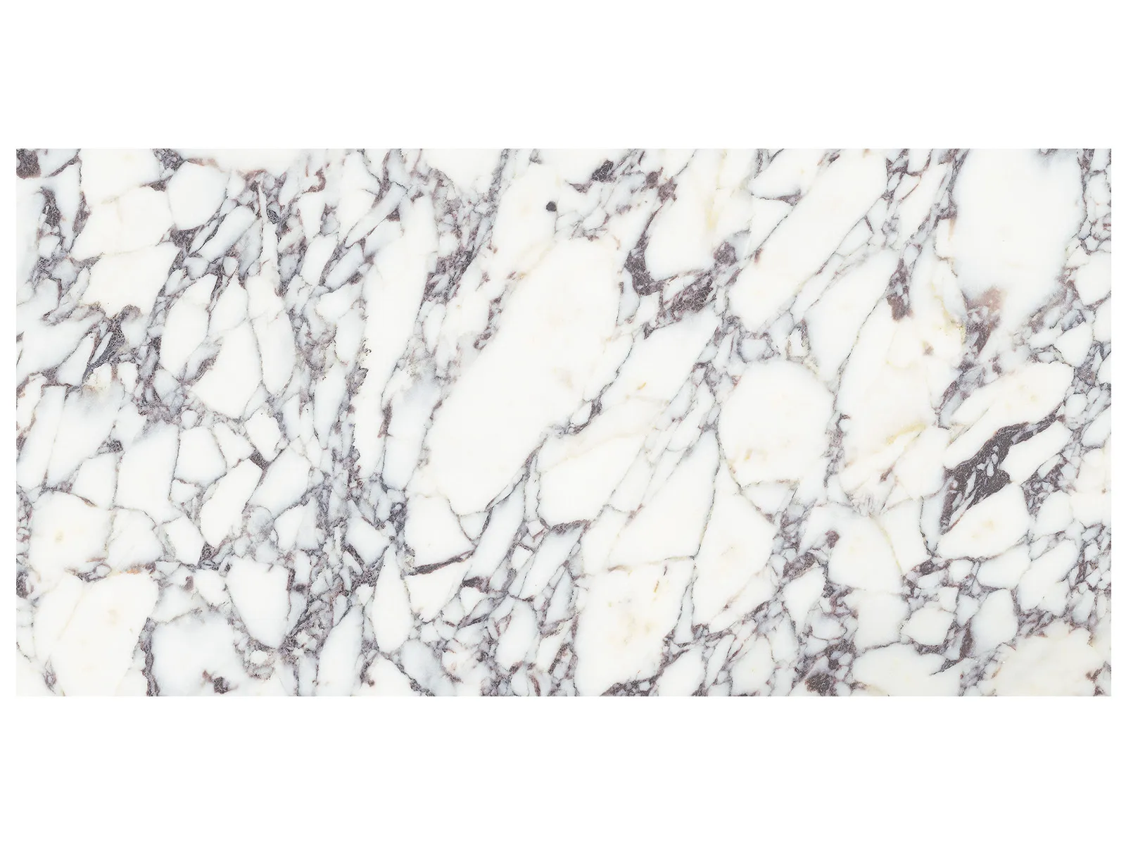 Viola Roccia – 12×24