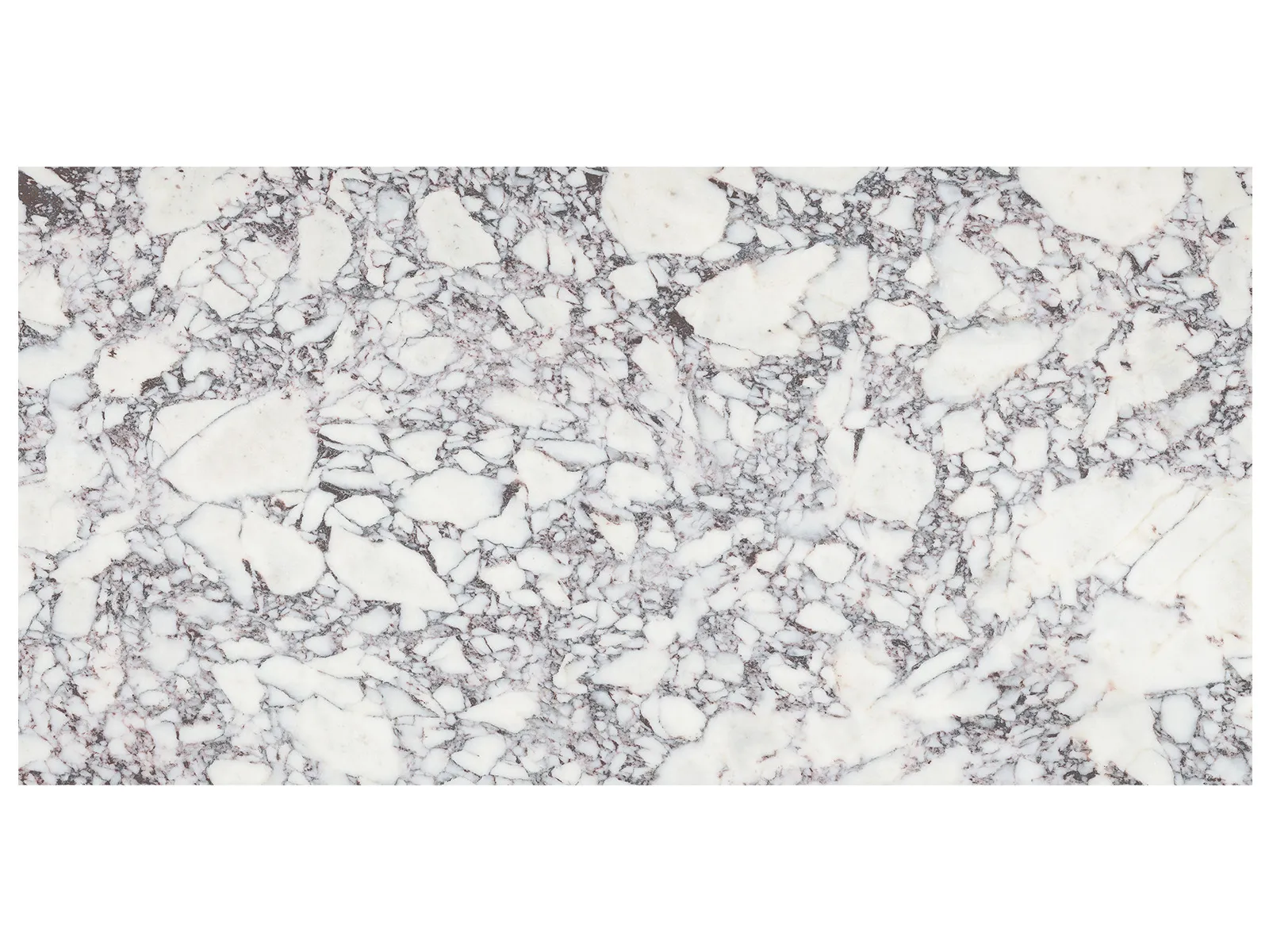 Viola Roccia – 18×36″